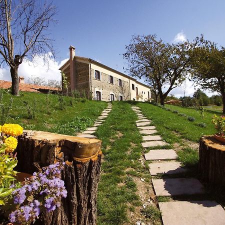 Hostal La Rosa Nel Bicchiere Soveria Mannelli Exterior foto