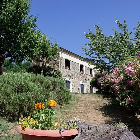 Hostal La Rosa Nel Bicchiere Soveria Mannelli Exterior foto